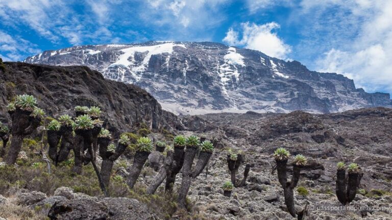 kilimanjaro 0821 pp 1024x576 470429350
