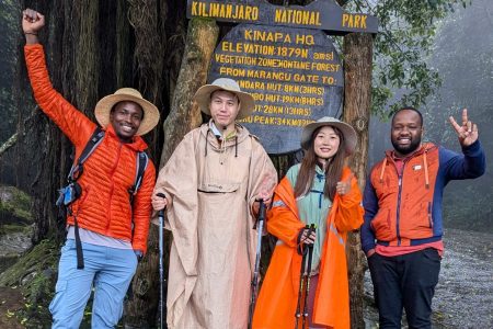 6 Days Marangu Route Day 1 Marangu Gate (1860m) to Mandara Hut (2700m)