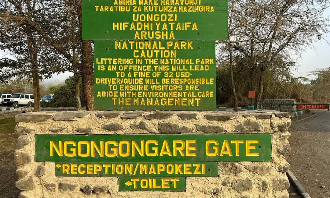 3 days mount kilimanlaro chimbi