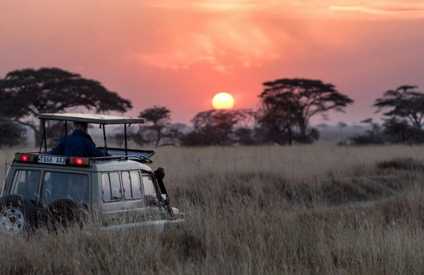 Tanzania Safaris