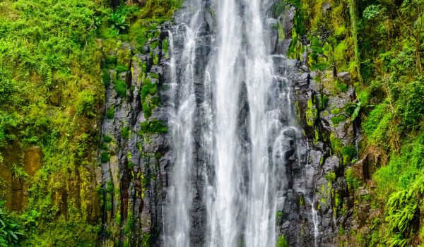 Materuni water falls Daytrip
